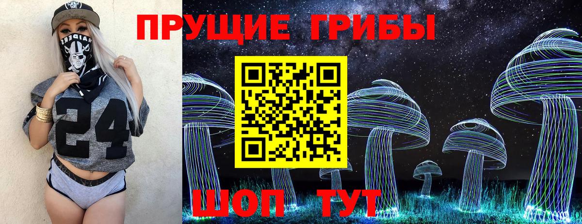 Выборг  Галлюциногенные грибы Psilocybe  Вход с VPN 
